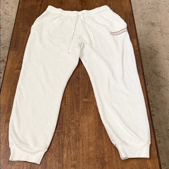 American Eagle Outfitters Pants - American Eagle Plush Terry Sweatpants Size Large Long